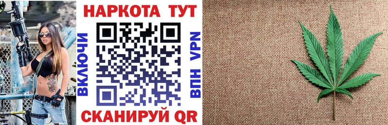 Купить наркоту Шенкурск Каннабис МЕГА ТОР ГАШИШ Псилоцибиновые грибы Меф АМФ КОКАИН
