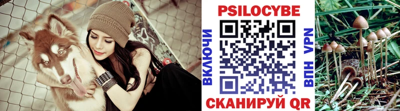 Галлюциногенные грибы Psilocybine cubensis  площадка формула  Шенкурск 
