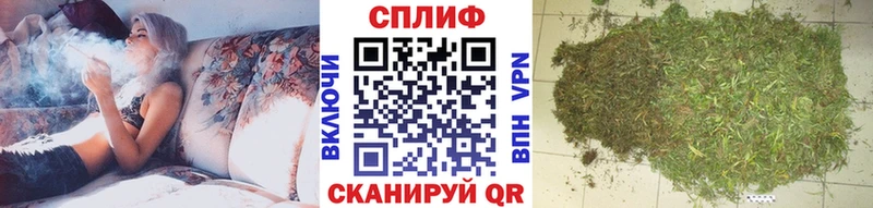 купить закладку  Шенкурск  Бошки Шишки планчик 